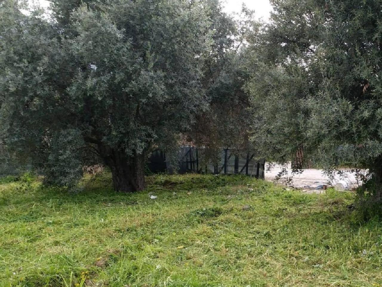 Suluca Homes Kyrenia  Esterno foto