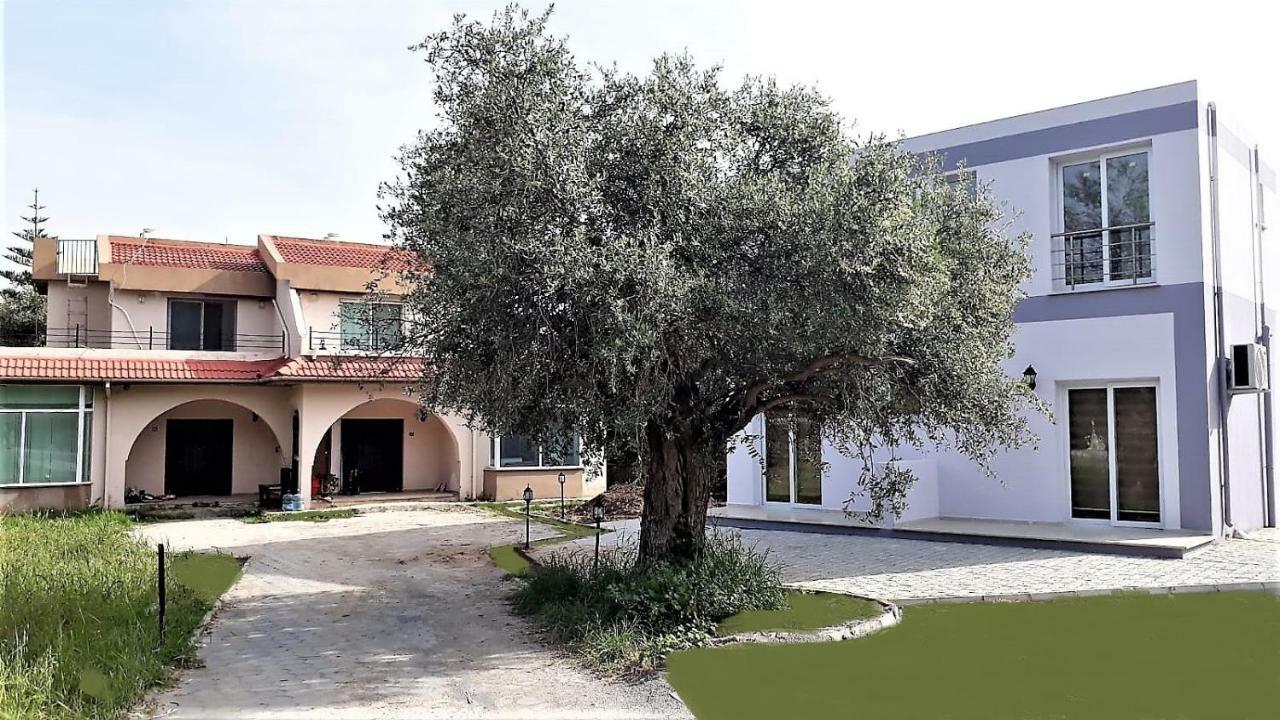 Suluca Homes Kyrenia  Esterno foto