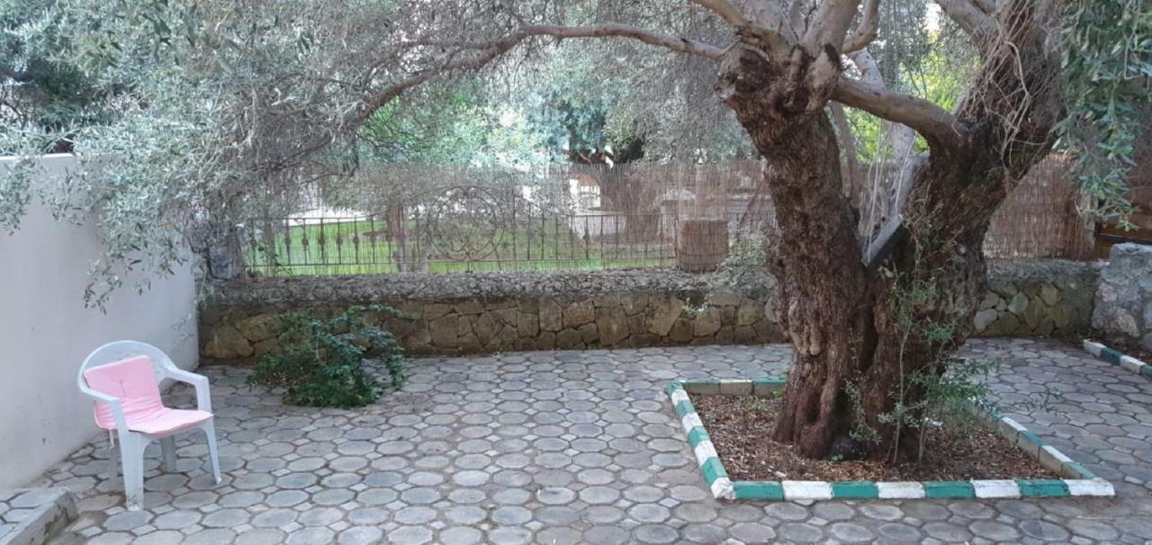 Suluca Homes Kyrenia  Esterno foto